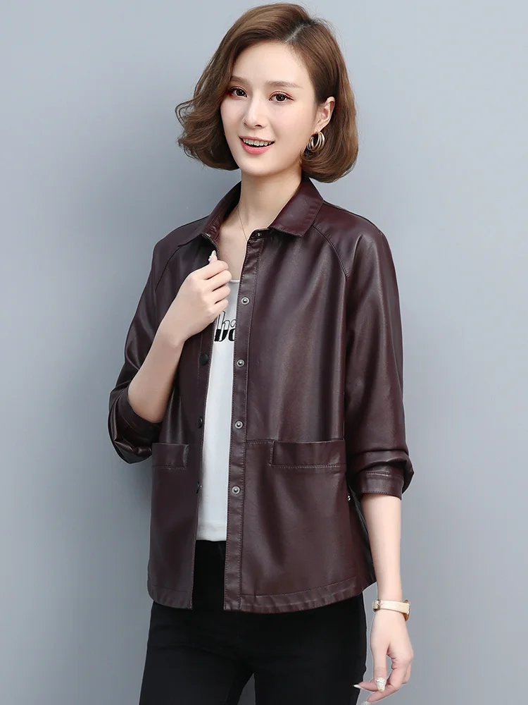 Haining Genuine Leather Coat Women's Short Sheepskin 2023 Spring and Autumn New Large Leather Jacket Korean Fit Small Coat
Haining Genuine Leather Coat Women's Short Sheepskin 2023 Spring and Autumn New Large Leather Jacket Korean Fit Small Coat