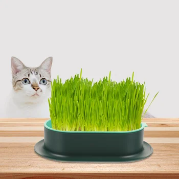 고양이 쓰레기 상자 개박하 재배 화분, 수경 재배 트레이, 가정 화분 식물용 잔디