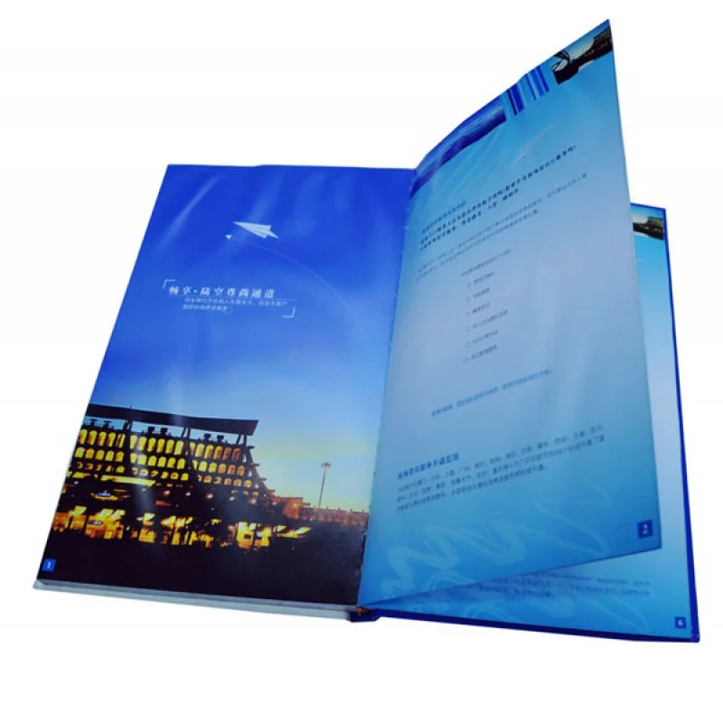 

Customized product.China printer high quality booklet / flyer printing catalogue / brochure printer