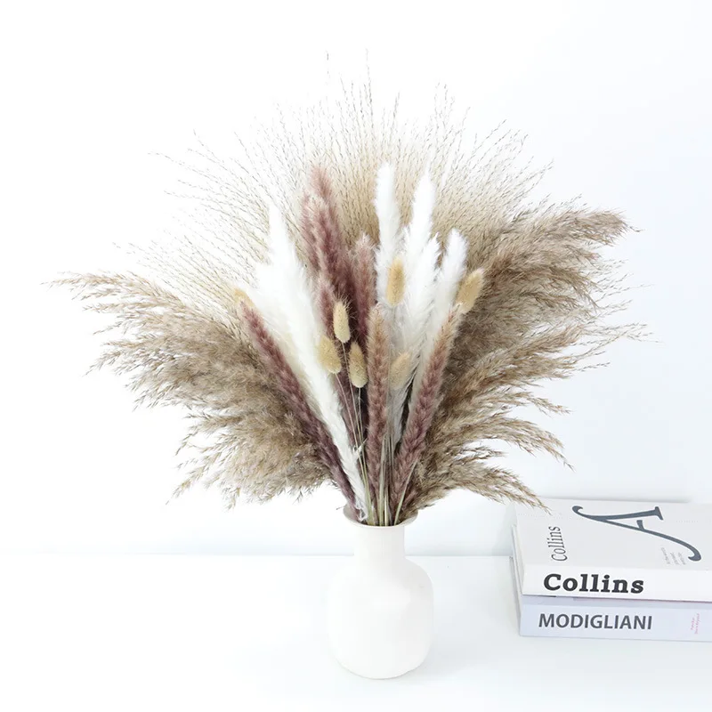 Natural Dried Pampas Grass Bouquet Boho Home Nordic Decor Bouquet Phragmites Dried Flowers Bouquet Wedding Arrangement Decor
Natural Dried Pampas Grass Bouquet Boho Home Nordic Decor Bouquet Phragmites Dried Flowers Bouquet Wedding Arrangement Decor