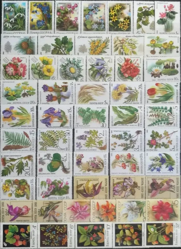 11 PCS, Total 54 PCS, CCCP, 1980-1991, Flower Stamp, Plant Stamp, Used with Post Mark
11 PCS, Total 54 PCS, CCCP, 1980-1991, Flower Stamp, Plant Stamp, Used with Post Mark