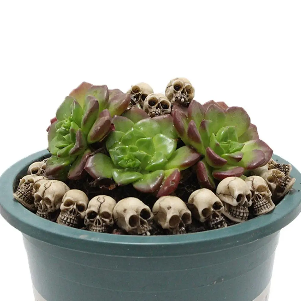 Resin Crafts Human Tooth Skull Skeleton Model Garden Micro Landscape Ornament Halloween Supplies Flower Pot Planter Skull Pot
Resin Crafts Human Tooth Skull Skeleton Model Garden Micro Landscape Ornament Halloween Supplies Flower Pot Planter Skull Pot