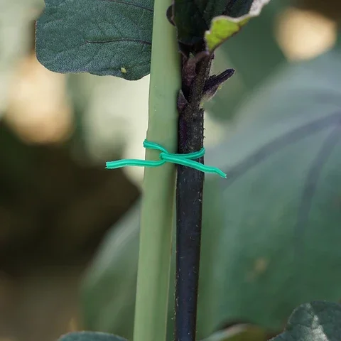 Plant Green Twist Tie Wire Roll With Wire Cutter 20/30/50/100M Garden Kitchen Bag Gardening
Plant Green Twist Tie Wire Roll With Wire Cutter 20/30/50/100M Garden Kitchen Bag Gardening