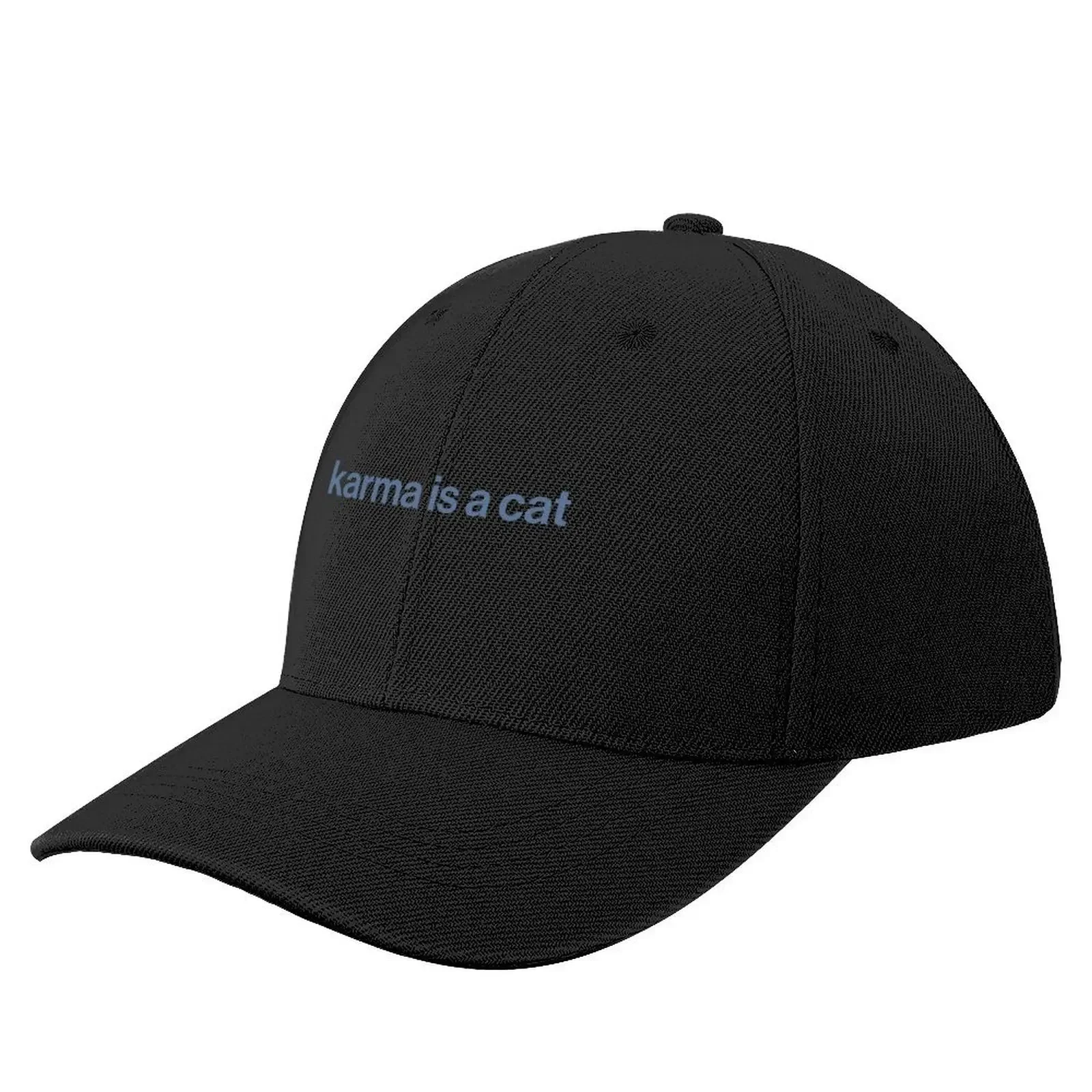 

karma is a cat Baseball Cap Visor Bobble Hat Thermal Visor Men Caps Women's