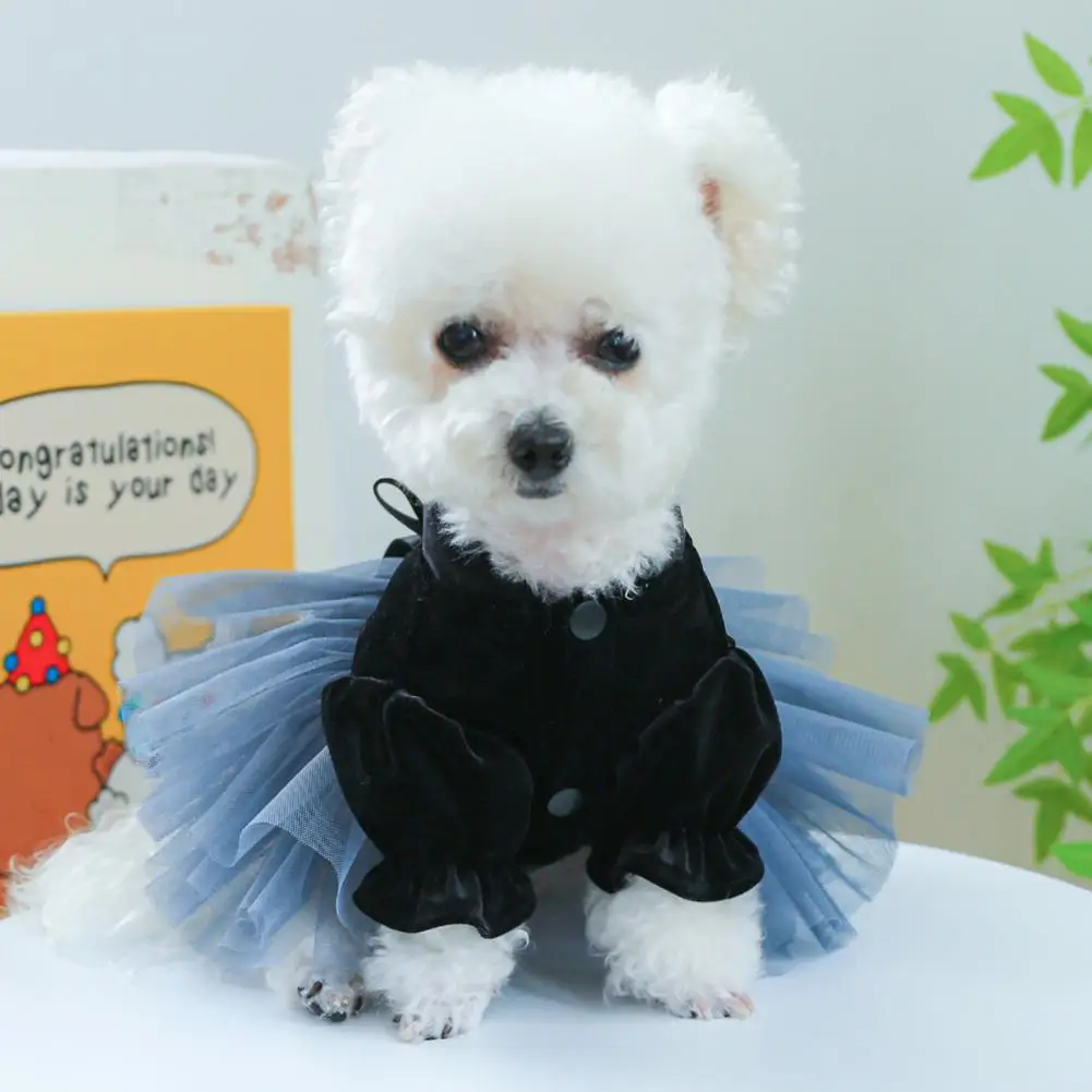 

Portable Pet Dress for Outings Pet Dress with Big Bowknot Decoration Charming Luxury Pet for Halloween for Small for Parties