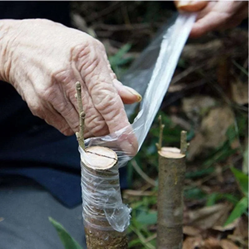 Stretchable PE Plants Grafting Tape, Eco-friendly Film, Garden Tree Seedlings, Tomato Vine, Bonsai Supplies, 3cm Width
Stretchable PE Plants Grafting Tape, Eco-friendly Film, Garden Tree Seedlings, Tomato Vine, Bonsai Supplies, 3cm Width