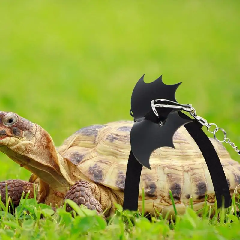 

Small Turtle Leash Lizard Traction Rope Small Pet Harness Tortoise Traction Rope Bearded Dragon Leash Small Vest Style With Wing