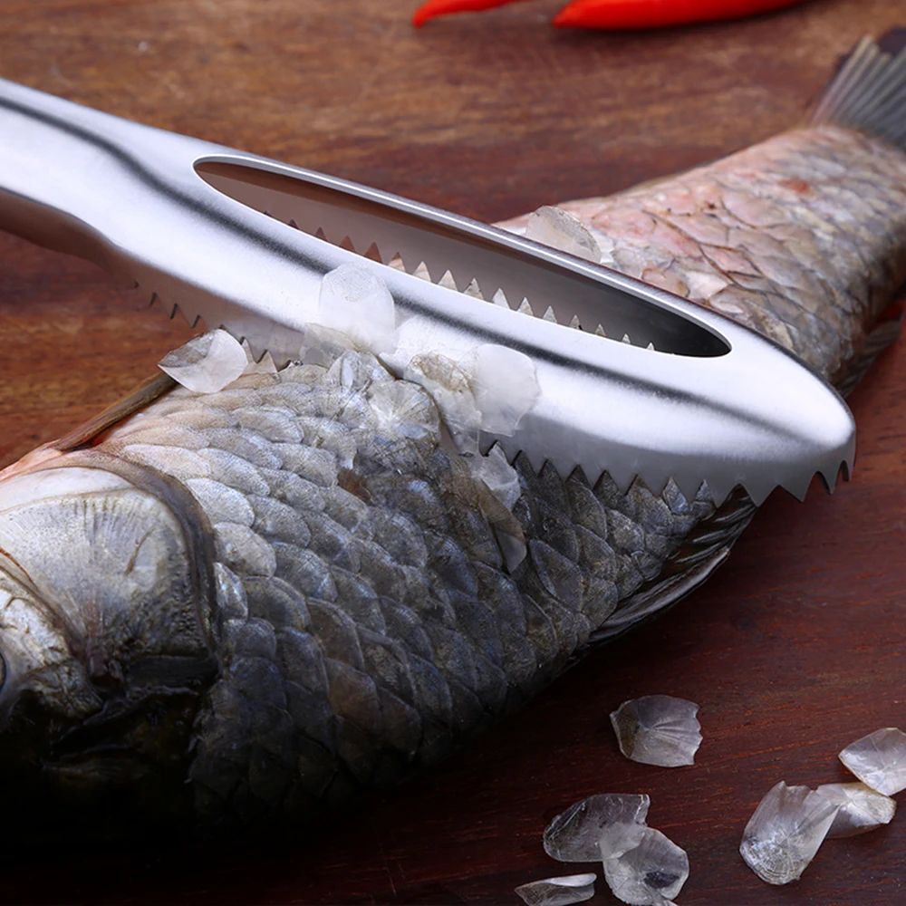 Stainless Steel Fish Scaler Remover with Sawtooth Fish Scale Remover Fish Descaler Tool Fish Scraper for Chef Home Cooks
Stainless Steel Fish Scaler Remover with Sawtooth Fish Scale Remover Fish Descaler Tool Fish Scraper for Chef Home Cooks