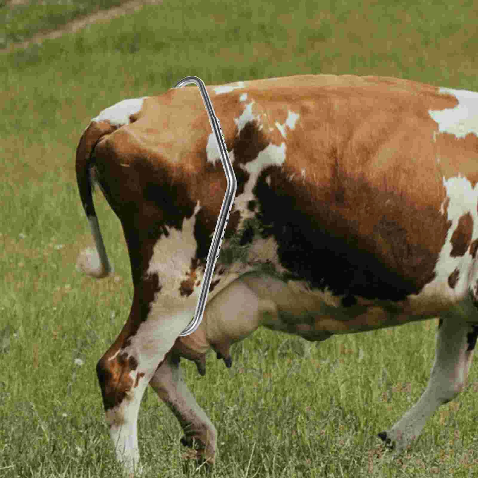 

Kick Stick Anti-kick Rod Farm Livestock Hoof Cow Stopping Device Stainless for Rubber Kicking