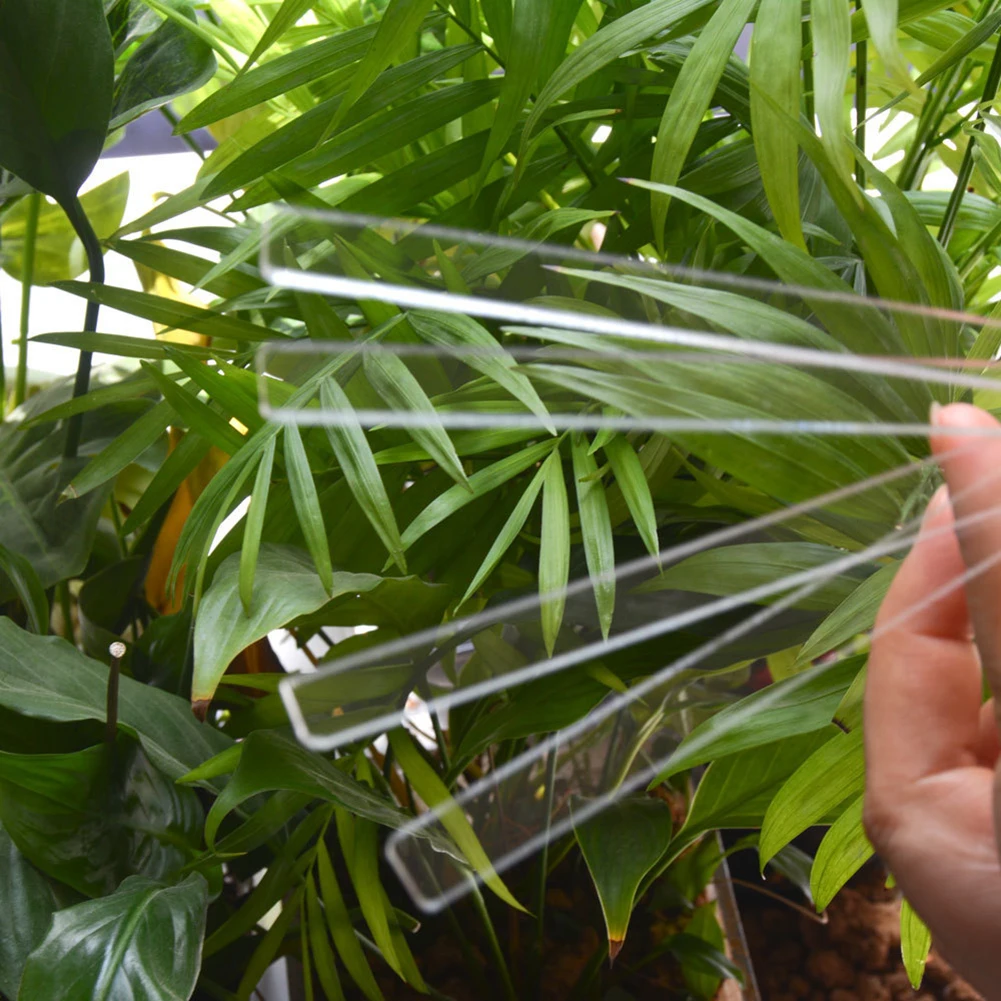 12Pcs Label Sheets Transparent Eco-friendly Acrylic Plant Flower Pot Sign + 1 White Whiteboard Pen T-Type Markers Gardening
12Pcs Label Sheets Transparent Eco-friendly Acrylic Plant Flower Pot Sign + 1 White Whiteboard Pen T-Type Markers Gardening