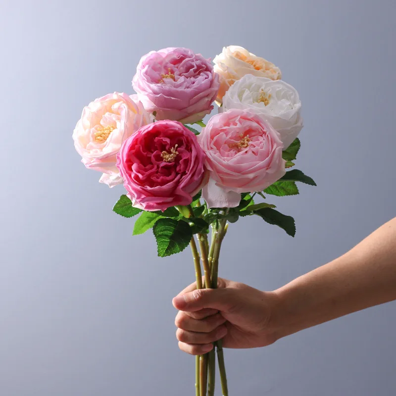 Creative Artificial Austin Rose Bouquet, Hand-Feel Moisturizing Flowers,Peony, Home, Living Room, Wedding Decoration
Creative Artificial Austin Rose Bouquet, Hand-Feel Moisturizing Flowers,Peony, Home, Living Room, Wedding Decoration