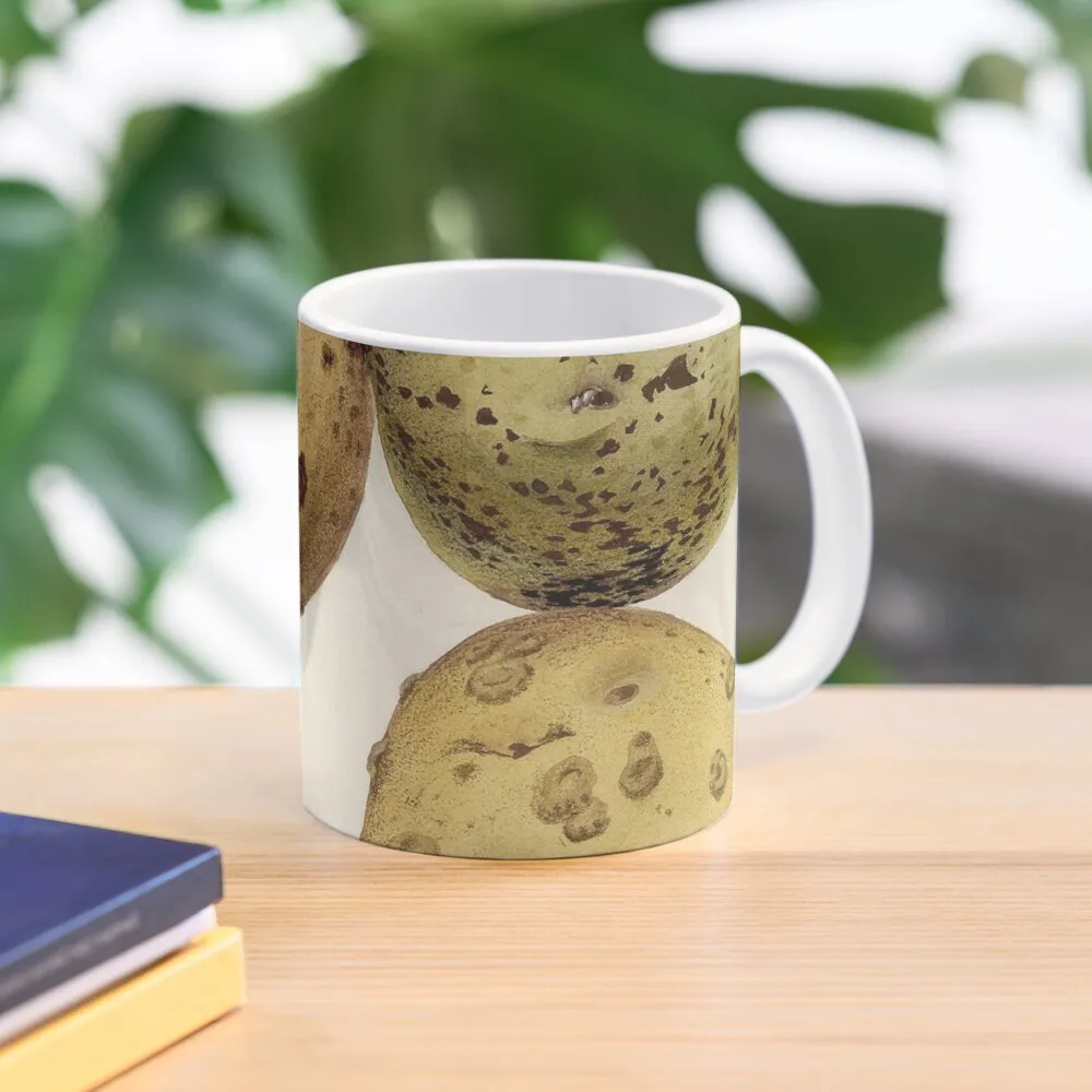 

Common Scab and Rhizoctonia Disease of Potato Coffee Mug Mixer Custom Cups Thermo Cups For Mug