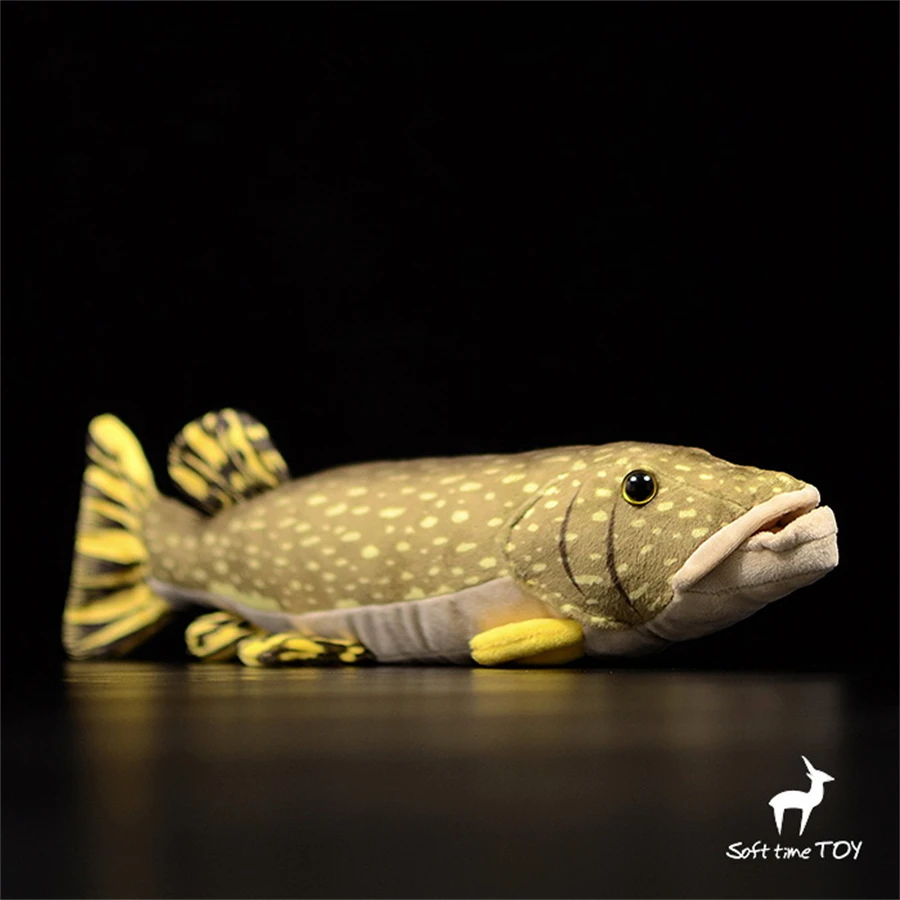 Esox Lucius высококачественные аниме милые плюшевые игрушки Северная Щука реалистичные животные имитация Мягкая кукла Kawai игрушки подарки
Esox Lucius высококачественные аниме милые плюшевые игрушки Северная Щука реалистичные животные имитация Мягкая кукла Kawai игрушки подарки