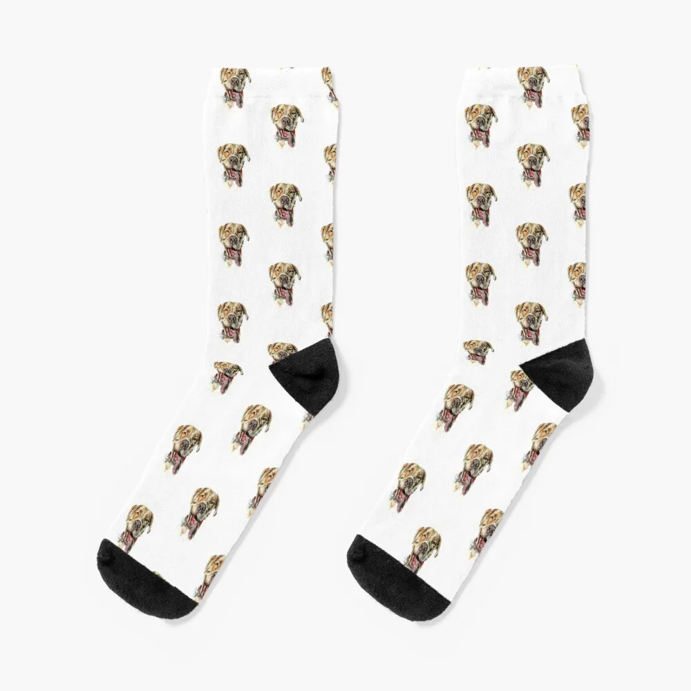 Pitbull Mix Original Watercolor Painting Socks colored compression Socks Man Women's
Pitbull Mix Original Watercolor Painting Socks colored compression Socks Man Women's