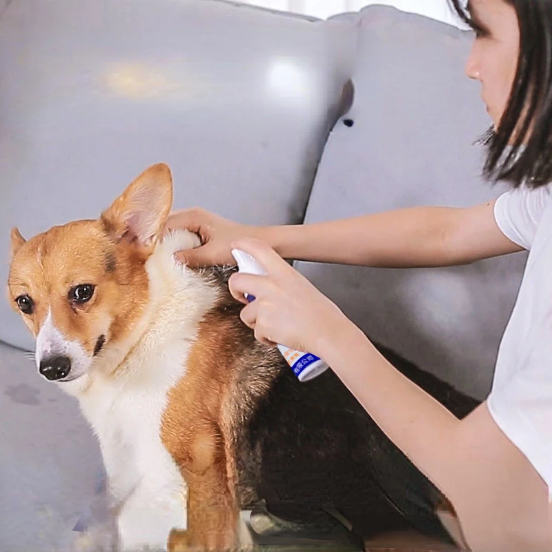 Dog Flea Medicine, Pet Insecticide, Spray, Dog, Cat, Animal, External Anthelmintic, Lice Removing and Tick Killing
Dog Flea Medicine, Pet Insecticide, Spray, Dog, Cat, Animal, External Anthelmintic, Lice Removing and Tick Killing