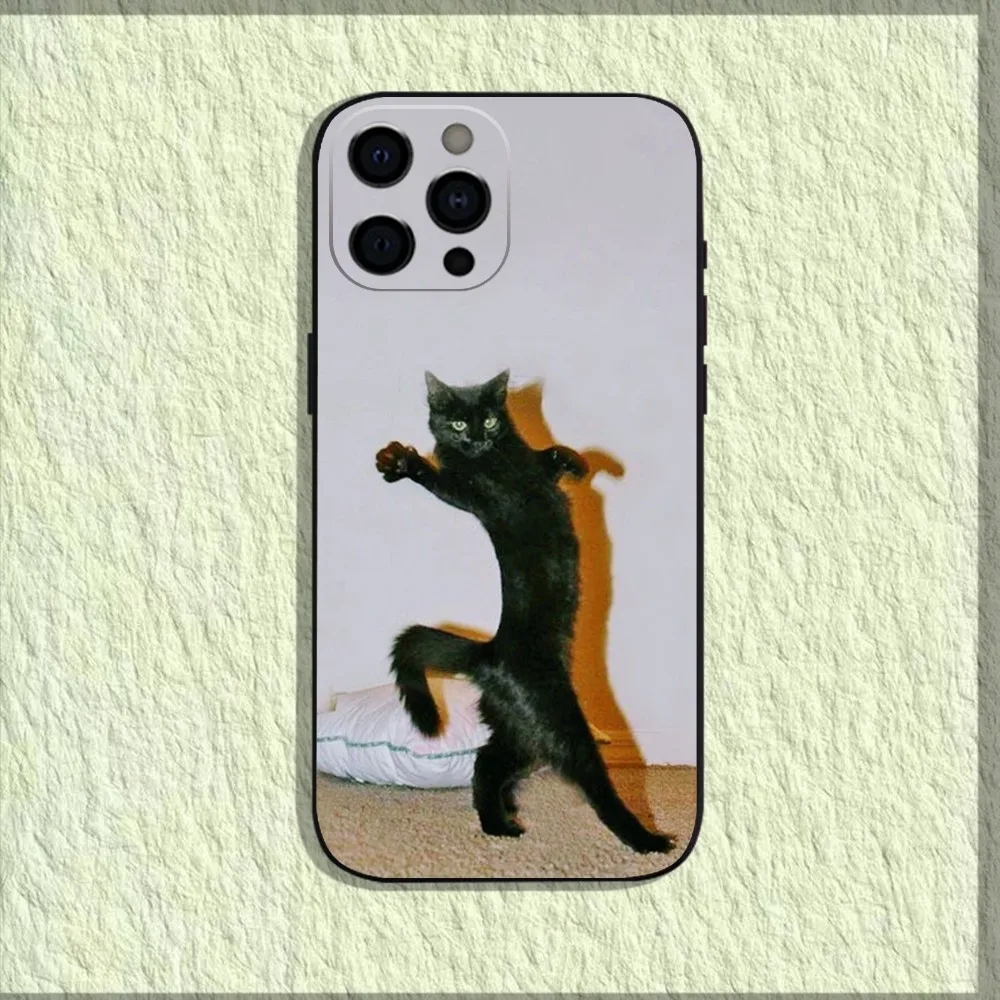 Pet Cat Funny memes Phone Case For iPhone 16,15,14,13,12,11,Pro,X,XS,Max,XR,Plus,Mini Soft Black Cover Pet Cat Funny memes Phone Case For iPhone 16,15,14,13,12,11,Pro,X,XS,Max,XR,Plus,Mini Soft Black Cover