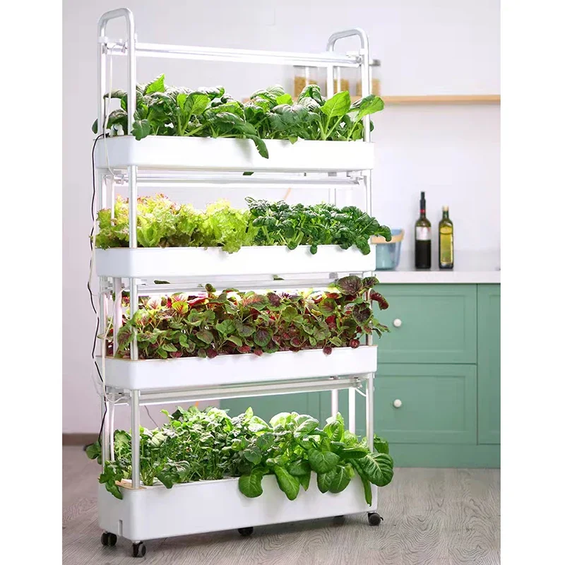 Smart Home Hydroponic System With 72holes Flower Pot Grow Lights System For Leaf Vegetables Planting
Smart Home Hydroponic System With 72holes Flower Pot Grow Lights System For Leaf Vegetables Planting