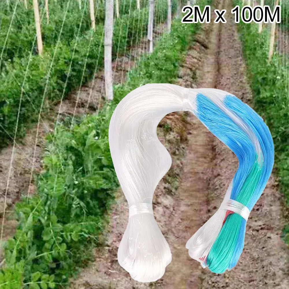 2x100M Polythene Garden Plant Trellis Net Climbing Net Heavy-Duty Vegetable Plant Support Vine Net Anti-bird Net
2x100M Polythene Garden Plant Trellis Net Climbing Net Heavy-Duty Vegetable Plant Support Vine Net Anti-bird Net