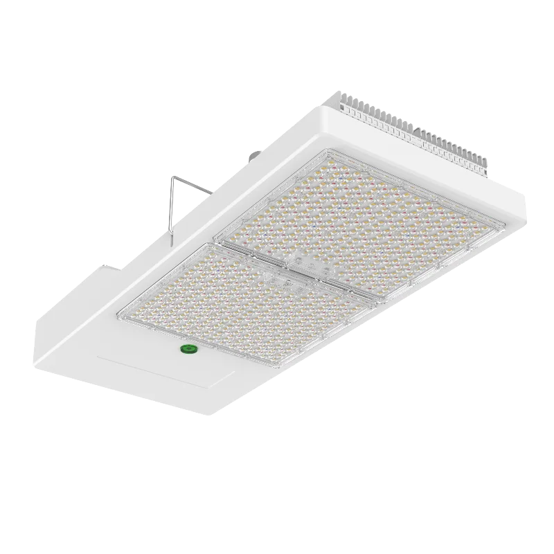 California Most Popular Diodes multi function china supplier top lighting solution commercial led grow light for horticulture
California Most Popular Diodes multi function china supplier top lighting solution commercial led grow light for horticulture