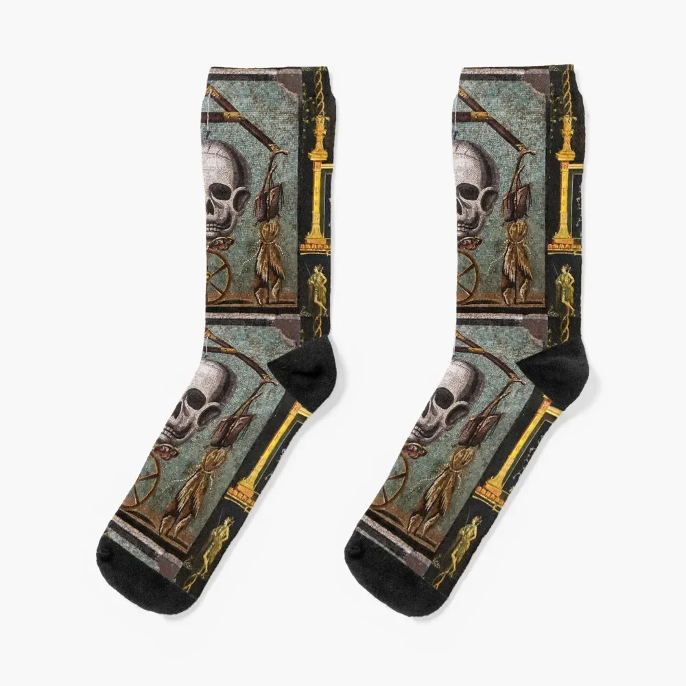 POMPEII COLLECTION / MEMENTO MORI, SKULL ,BUTTERFLYAND WHEEL OF FORTUNE Socks Christmas Novelties set Women Socks Men's
POMPEII COLLECTION / MEMENTO MORI, SKULL ,BUTTERFLYAND WHEEL OF FORTUNE Socks Christmas Novelties set Women Socks Men's