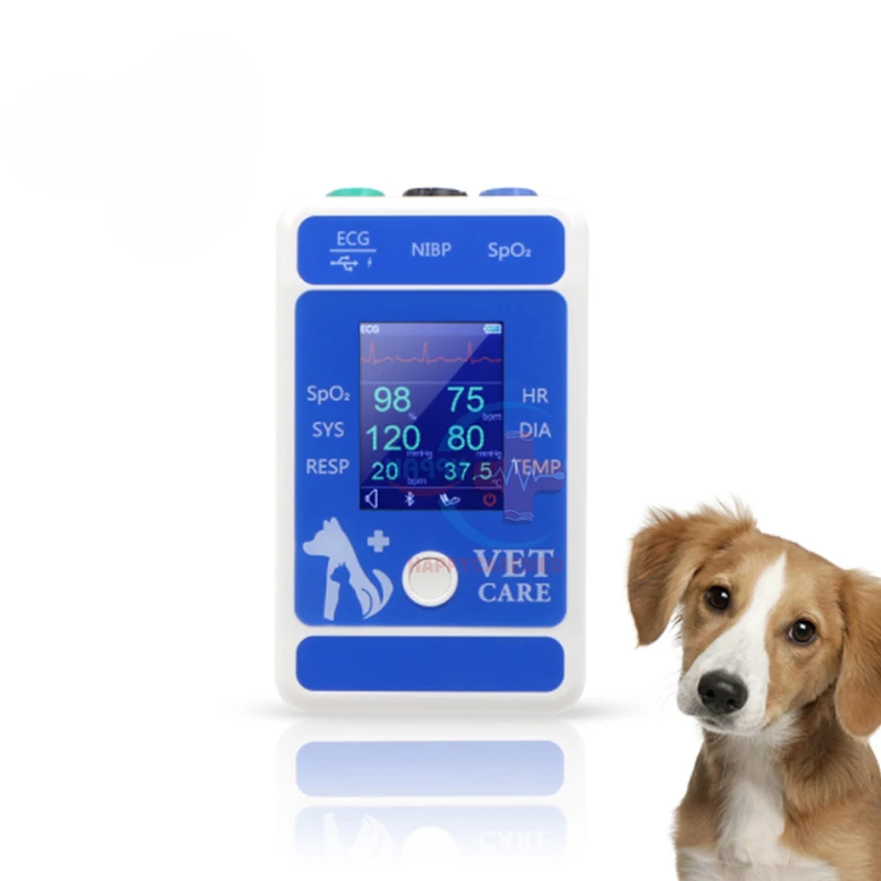 HC-R001B Veterinary Handheld Animals multi-parameter Veterinary s Pressure Veterinary Pet Pressure
HC-R001B Veterinary Handheld Animals multi-parameter Veterinary s Pressure Veterinary Pet Pressure