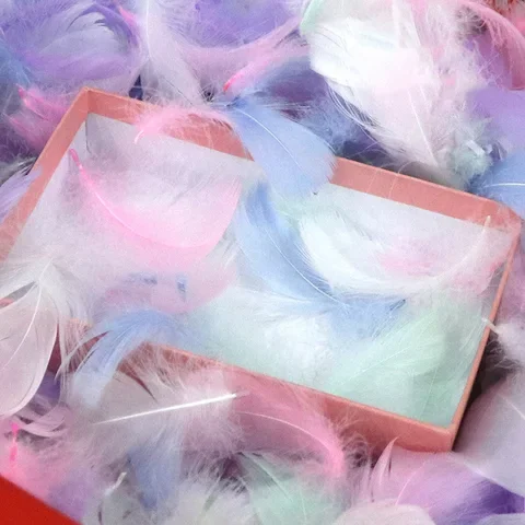100pcs/Pack Colorful Feathers Gift Packing Material Box Filler Supplies Diy Craft Wedding Birthday Party Decoration Accessories
100pcs/Pack Colorful Feathers Gift Packing Material Box Filler Supplies Diy Craft Wedding Birthday Party Decoration Accessories