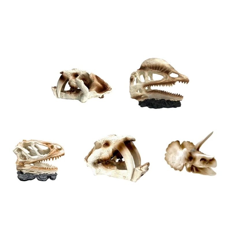 Delicate Hallowed Cave Terrarium Hideouts Dinosaur Head Shape Aquarium Decors Drop Shipping
Delicate Hallowed Cave Terrarium Hideouts Dinosaur Head Shape Aquarium Decors Drop Shipping