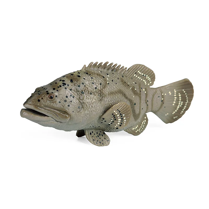 

Children's science and education cognitive simulation Marine animal model Animal ornaments Solid static grouper toy