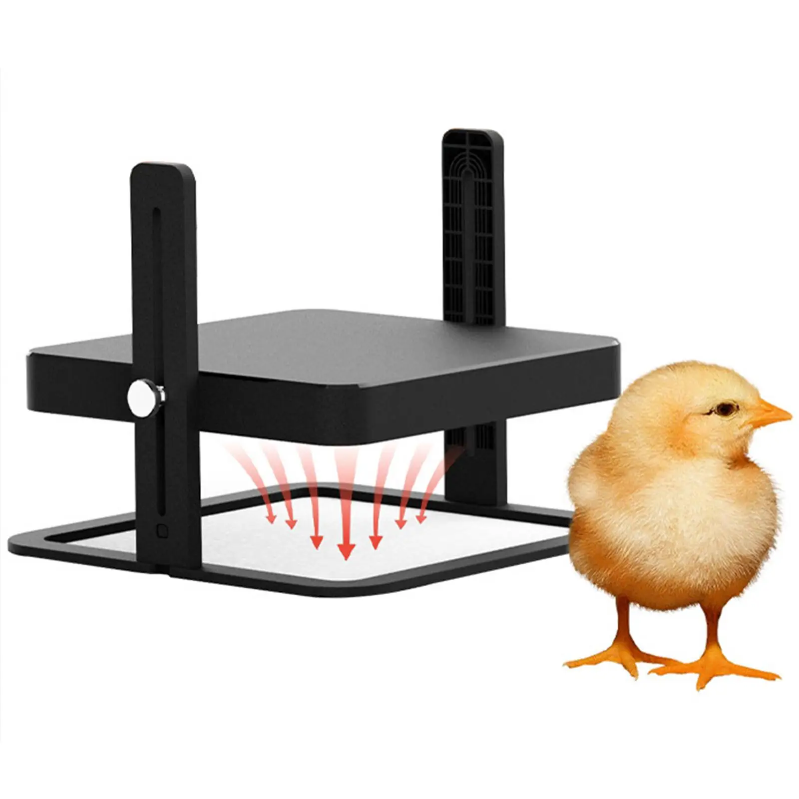 Chick Brooder Heating Board Heater Pad Duckling Adjustable Height Chicken Chicken Warmer 
Chick Brooder Heating Board Heater Pad Duckling Adjustable Height Chicken Chicken Warmer