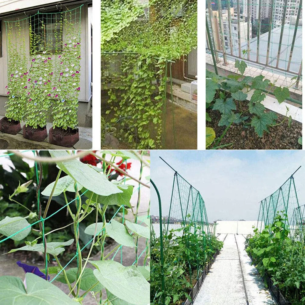 1 Pcs Garden Netting Tear-resistant UV-stabilized Flexible High Density Polyethylene Better Yields And Crop Success
1 Pcs Garden Netting Tear-resistant UV-stabilized Flexible High Density Polyethylene Better Yields And Crop Success