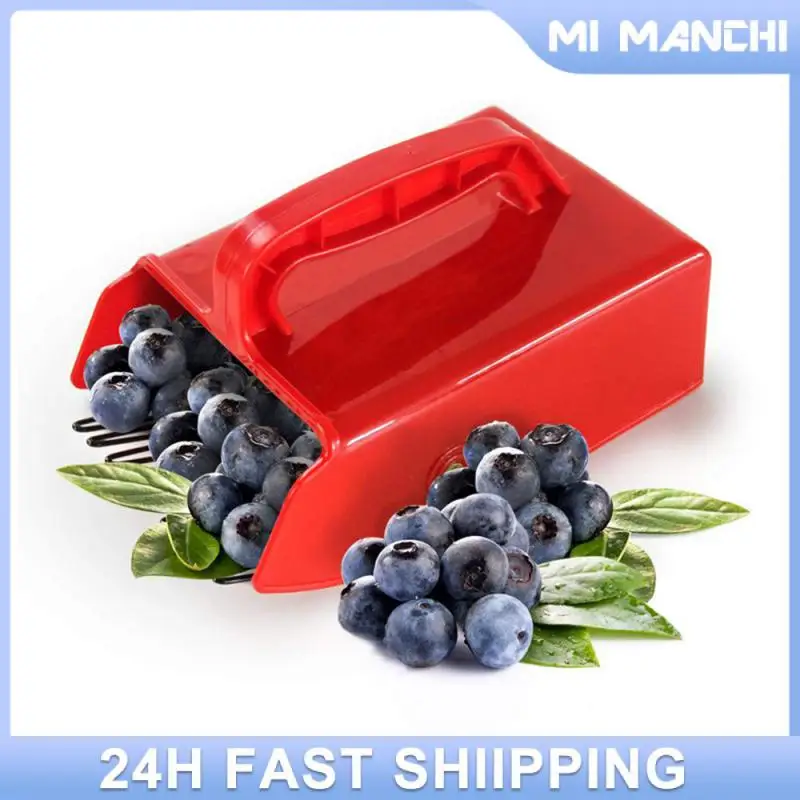 Fruit Collection Spoon Suitable For All Age Groups Easy To Clean Picking Garden Tools Blueberry Picker Picker Metal Comb Rake
Fruit Collection Spoon Suitable For All Age Groups Easy To Clean Picking Garden Tools Blueberry Picker Picker Metal Comb Rake