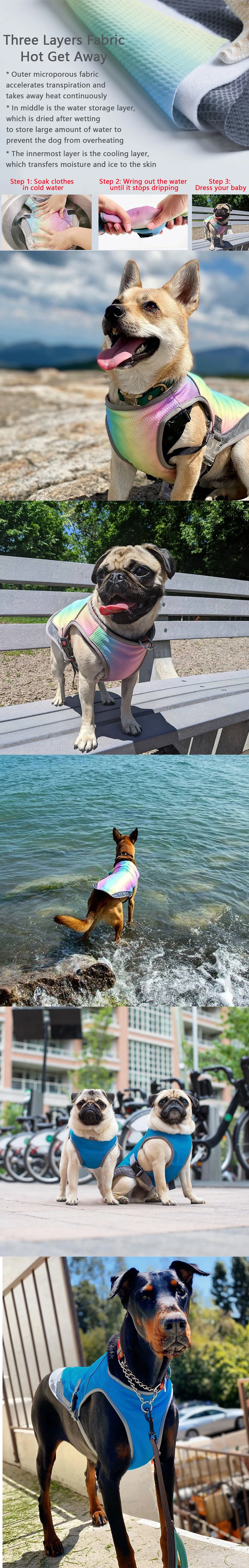 Gilet rafraichissant pour chien Gilet rafraichissant pour chien