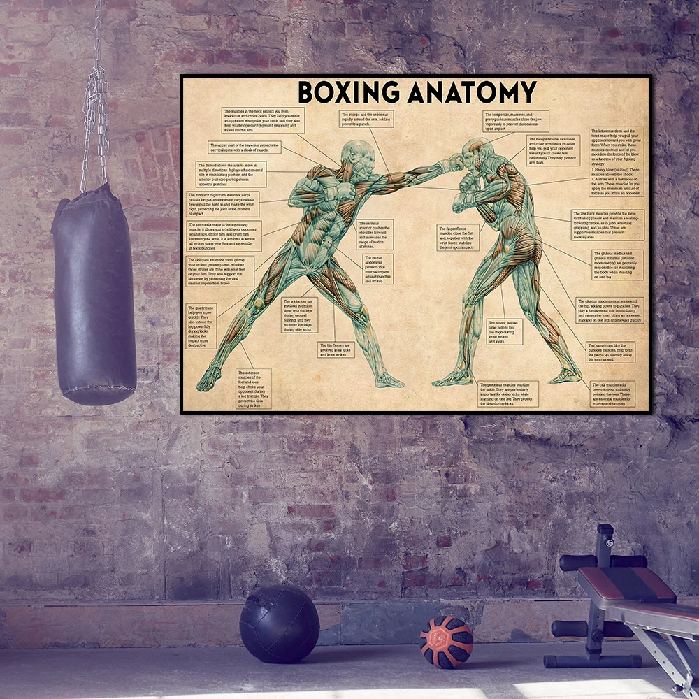 Vintage Boxing Body Anatomy Knowledge Poster Print Canvas Painting Wall Art Retro Chart Picture for Gym Room Home Decor Cuadros
Vintage Boxing Body Anatomy Knowledge Poster Print Canvas Painting Wall Art Retro Chart Picture for Gym Room Home Decor Cuadros