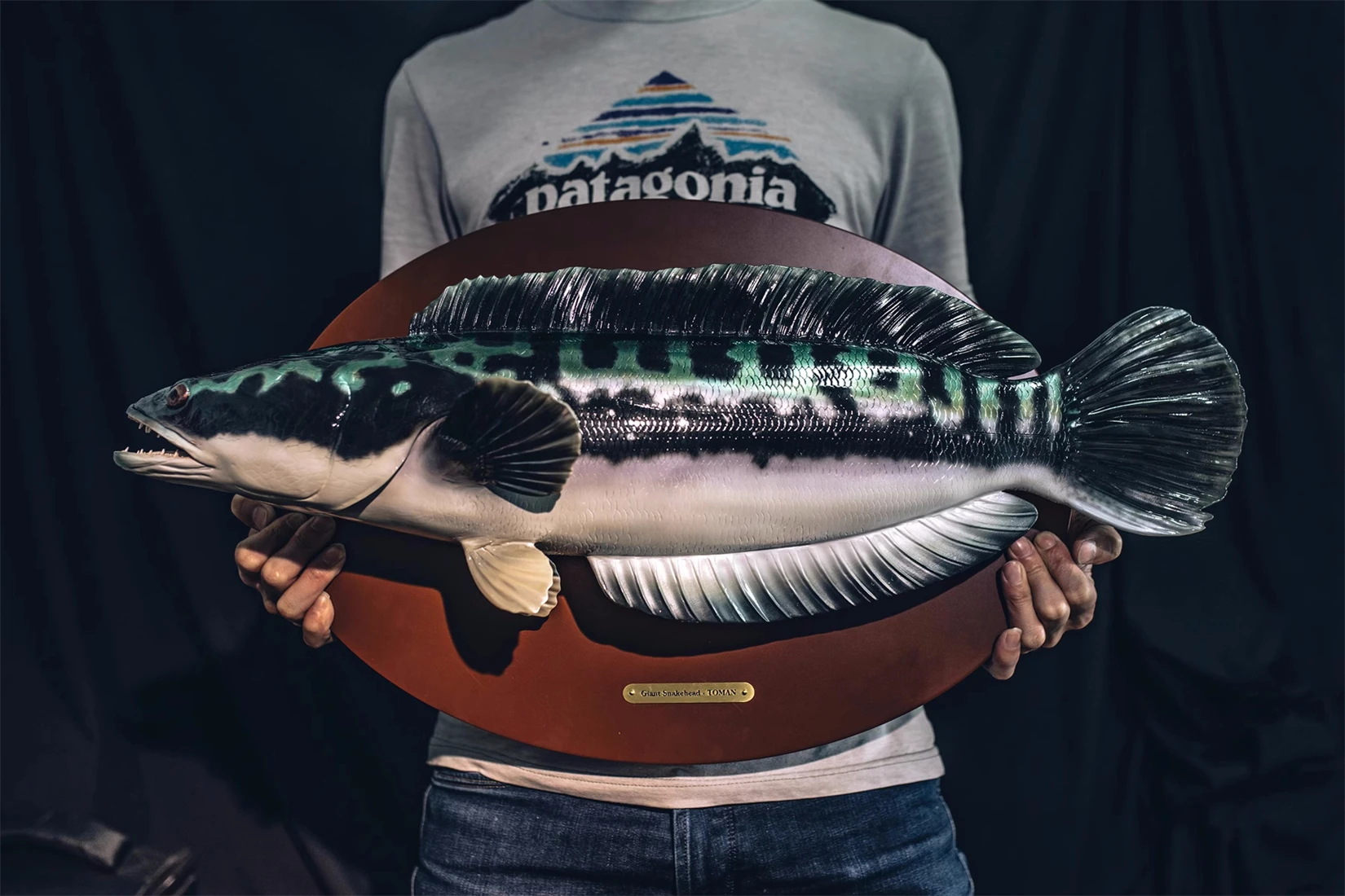 Zenith Star Studio Angling World Indonesian GIANT SNAKEHEAD -TOMAN FISH Model Animal Figure Wall Mounted Sculpture Ornaments
Zenith Star Studio Angling World Indonesian GIANT SNAKEHEAD -TOMAN FISH Model Animal Figure Wall Mounted Sculpture Ornaments