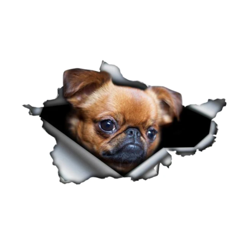 Z152#13cm/17cm Car Sticker Brussels Griffon Dog 3D Pet Animal Auto Accessories Pegatinas Para Coche DIY Car Styling
Z152#13cm/17cm Car Sticker Brussels Griffon Dog 3D Pet Animal Auto Accessories Pegatinas Para Coche DIY Car Styling