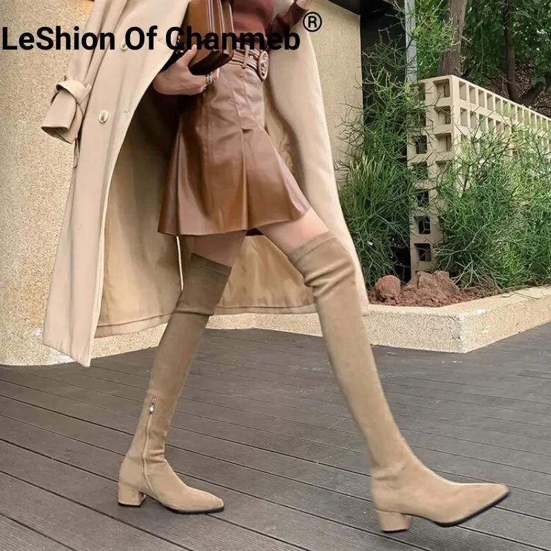 LeShion Of Chanmeb Women Faux Suede Stretch Boots Nude Pointy Toe Thigh High Zipper Boots For Woman Winter Medium Heels Footwear
LeShion Of Chanmeb Women Faux Suede Stretch Boots Nude Pointy Toe Thigh High Zipper Boots For Woman Winter Medium Heels Footwear