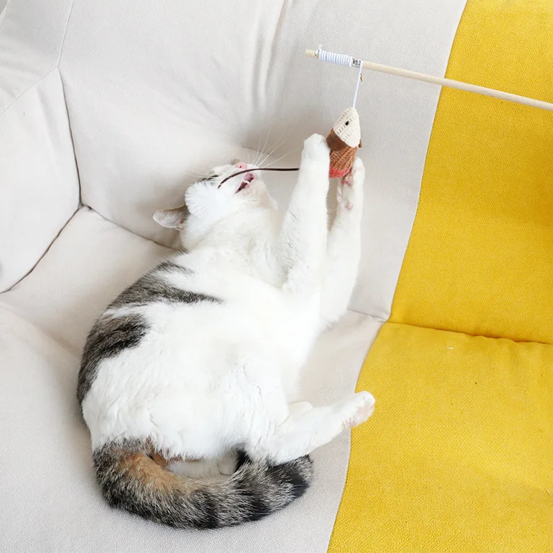 Stars & Mice Cat Wand Toys with Cats Chew,Interactive Cat Toys for Eliminating Boredom,Practice hunting techniques(Stars, Mice)
Stars & Mice Cat Wand Toys with Cats Chew,Interactive Cat Toys for Eliminating Boredom,Practice hunting techniques(Stars, Mice)
