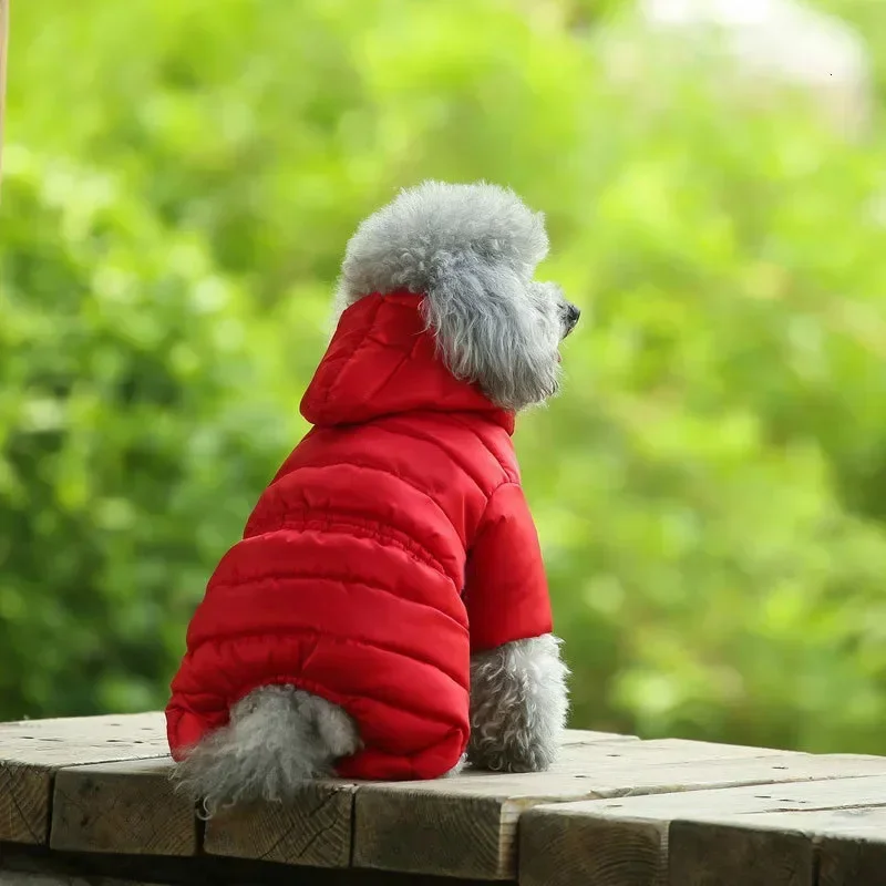 Winter For Coat Teddy Legs Down Light-weight Big Pet Warm Puppy Ski Bear Jacket Combinaison Clothes Dog Four Costume Dogs Hoodie
Winter For Coat Teddy Legs Down Light-weight Big Pet Warm Puppy Ski Bear Jacket Combinaison Clothes Dog Four Costume Dogs Hoodie