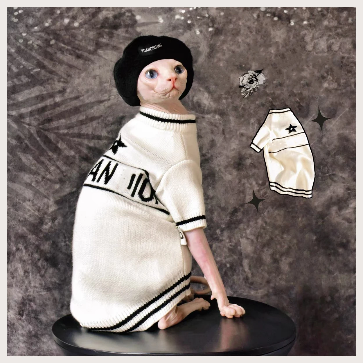 3Colors Dog Sweaters Designer Pet Cloth Premium Fashion French Bulldog Schnauzer Corgi Winter Coat Long Sleeve Top Hoody 
3Colors Dog Sweaters Designer Pet Cloth Premium Fashion French Bulldog Schnauzer Corgi Winter Coat Long Sleeve Top Hoody