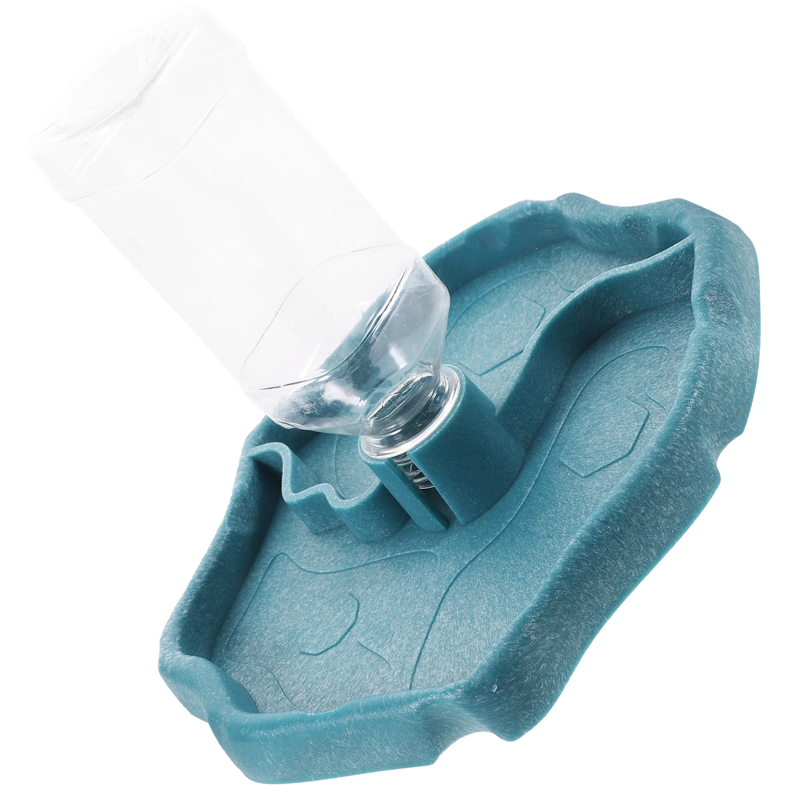 Reptile Feeder Decorative Waterer Lizards Bearded Dragon Accessories Pet Dish Animal Turtle Bowl Tortoise
Reptile Feeder Decorative Waterer Lizards Bearded Dragon Accessories Pet Dish Animal Turtle Bowl Tortoise