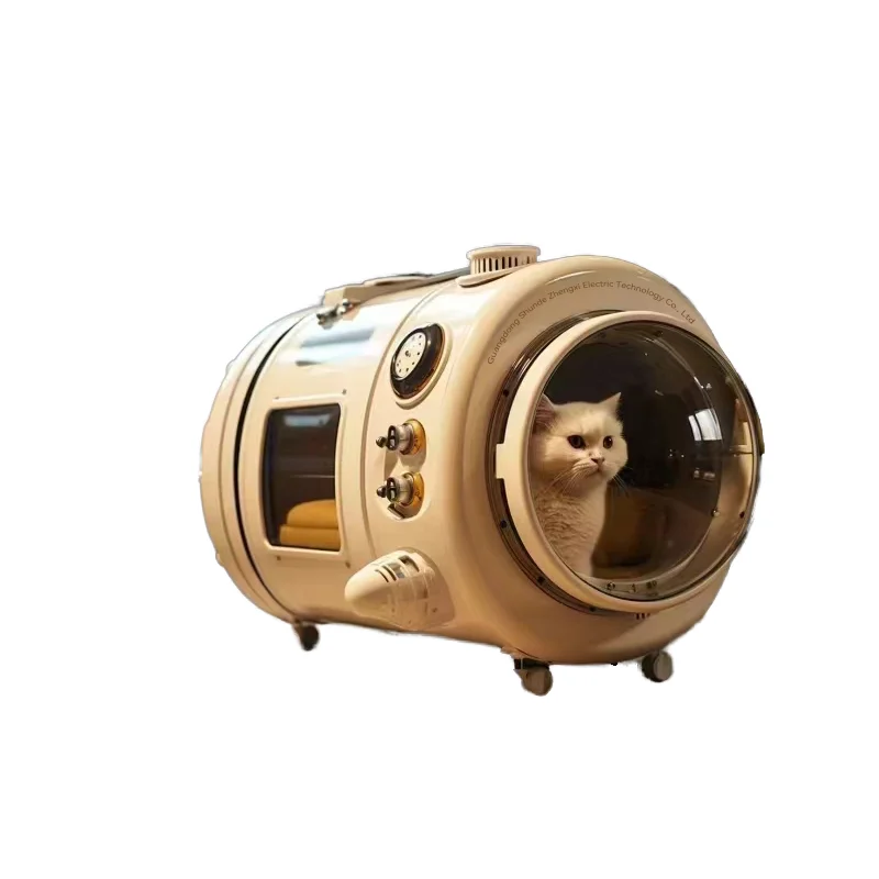 Mini portable air conditioning suitable for outdoor pets, electric pet houses, portable
Mini portable air conditioning suitable for outdoor pets, electric pet houses, portable