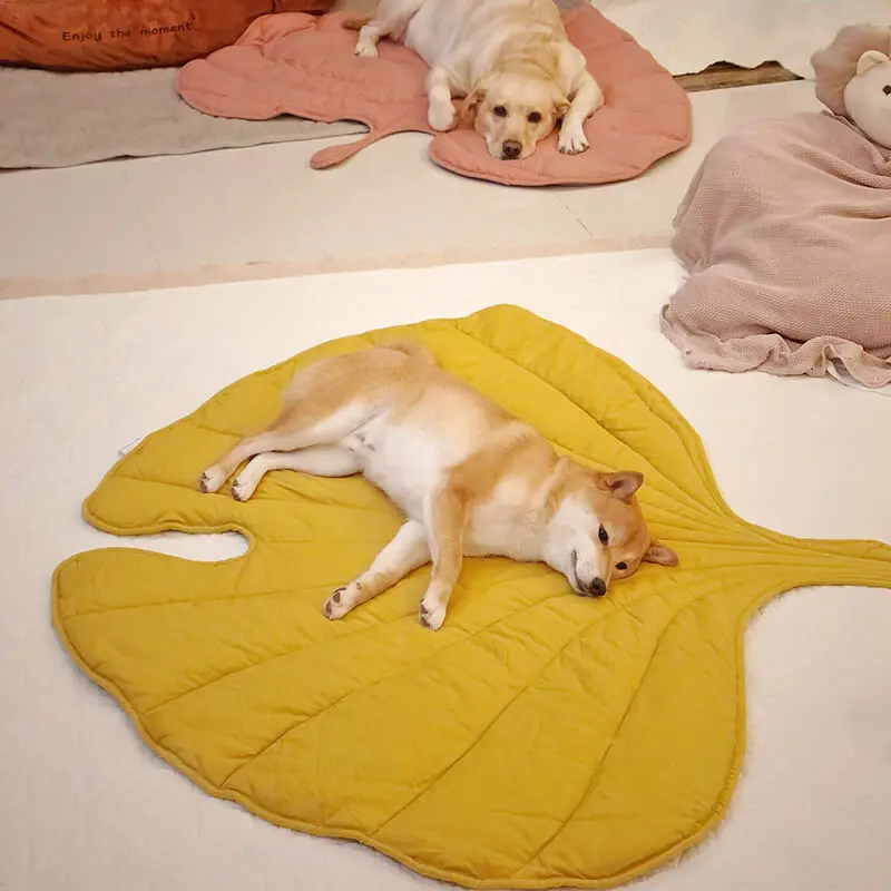 Leaf Shape Soft Dog Bed Mat, Crate Pad, Machine Washable Mattress, Large, Medium, Small Dogs, Cats Kennel Pad, Cat Bed
Leaf Shape Soft Dog Bed Mat, Crate Pad, Machine Washable Mattress, Large, Medium, Small Dogs, Cats Kennel Pad, Cat Bed