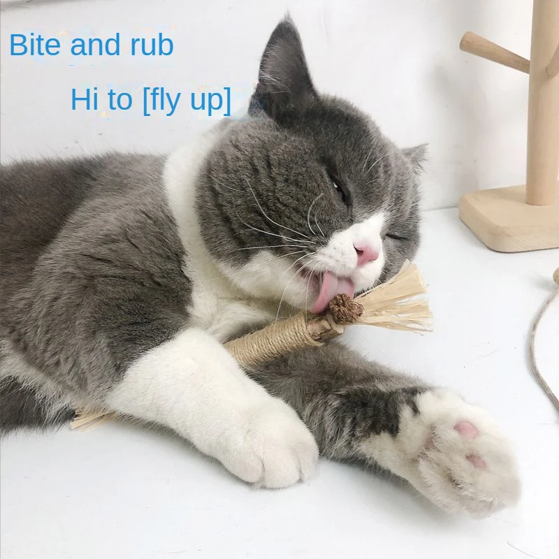 Cat Toys Silvervine Chew Stick,Kitten Treat Catnip Toy Kitty Natural Stuff with Catnip for Cleaning Teeth Indoor Dental Molar
Cat Toys Silvervine Chew Stick,Kitten Treat Catnip Toy Kitty Natural Stuff with Catnip for Cleaning Teeth Indoor Dental Molar