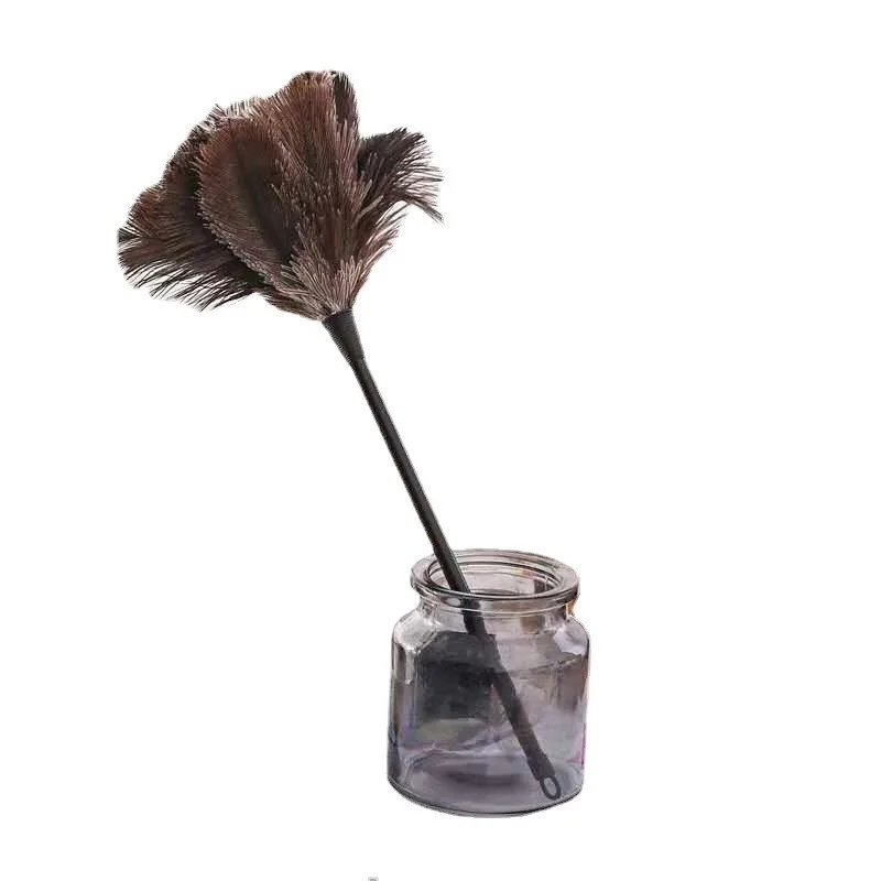 1pcs Ostrich Duster Electrostatic Dust Cleaning Tool Wood Handle Brush Portable Feather Dusters Cleaning Accessories Feather Fur
1pcs Ostrich Duster Electrostatic Dust Cleaning Tool Wood Handle Brush Portable Feather Dusters Cleaning Accessories Feather Fur
