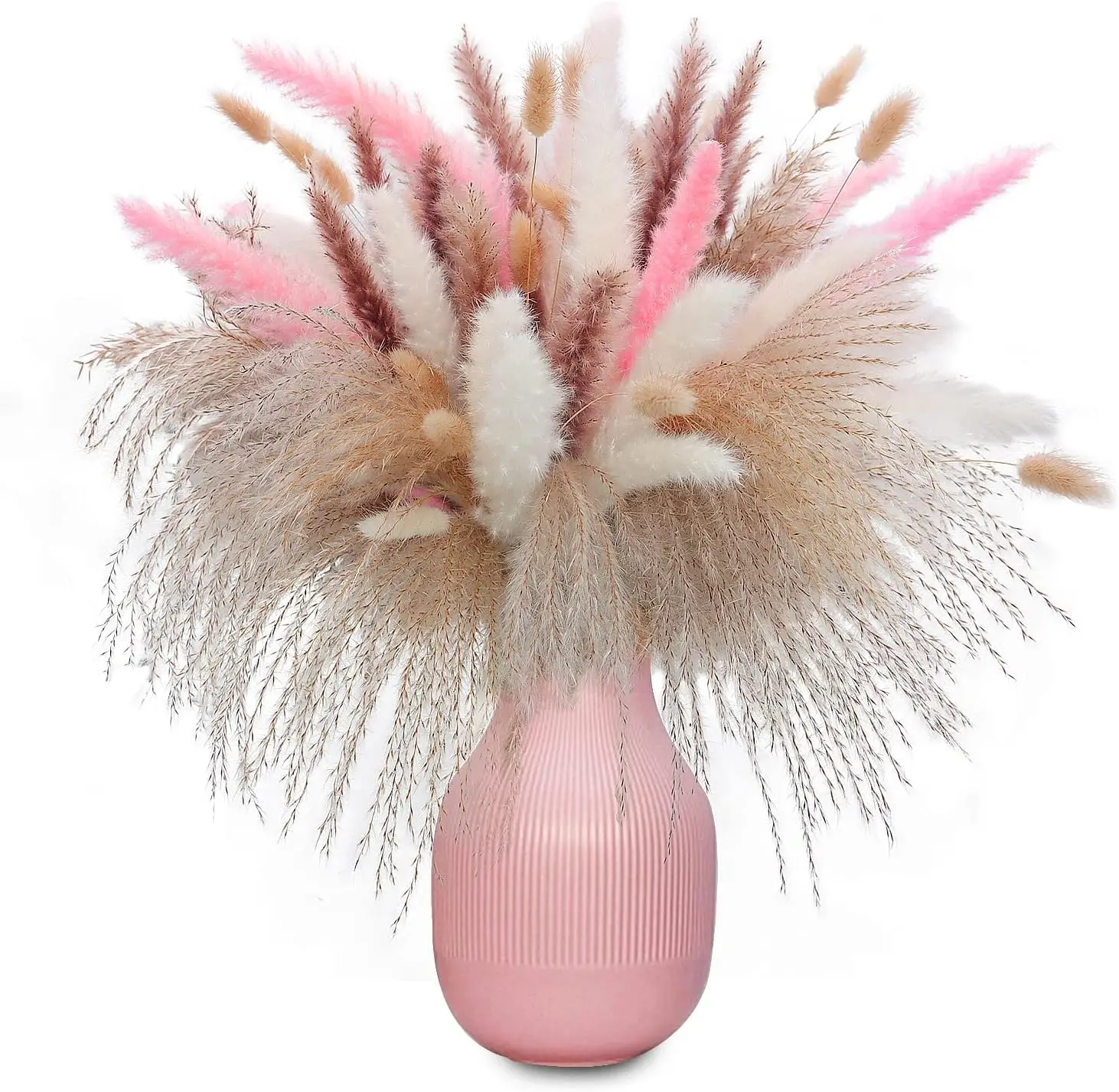 Dried Flowers Pampas Grass Fluffy Reeds Bouquet Wedding Nordic Boho Home Decor Real Plants Party Arrangement Decoration Accesso
Dried Flowers Pampas Grass Fluffy Reeds Bouquet Wedding Nordic Boho Home Decor Real Plants Party Arrangement Decoration Accesso