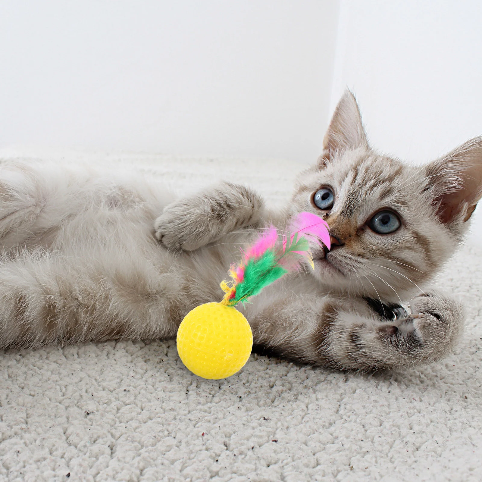 

Funny Pet Cat Toys Feather Ball Toys Scratching Ball Training Cat Teasing Toy Pet Sounding Supply for Home Assorted Color