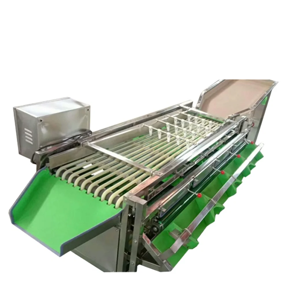 

Fruit Vegetable Sorter Potato Tomato Grading Production Line Dates Grade Sorting Machine Saudi Arabia Dates Grading Machine