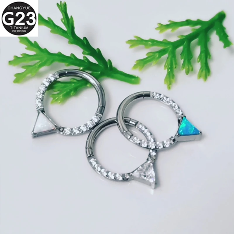 G23 Titanium Earrings Zircon Hinged Segment Clicker Septum Piercing Nose Ring Daith Helix Ear Cartilage Nose Piercing Jewelry
G23 Titanium Earrings Zircon Hinged Segment Clicker Septum Piercing Nose Ring Daith Helix Ear Cartilage Nose Piercing Jewelry
