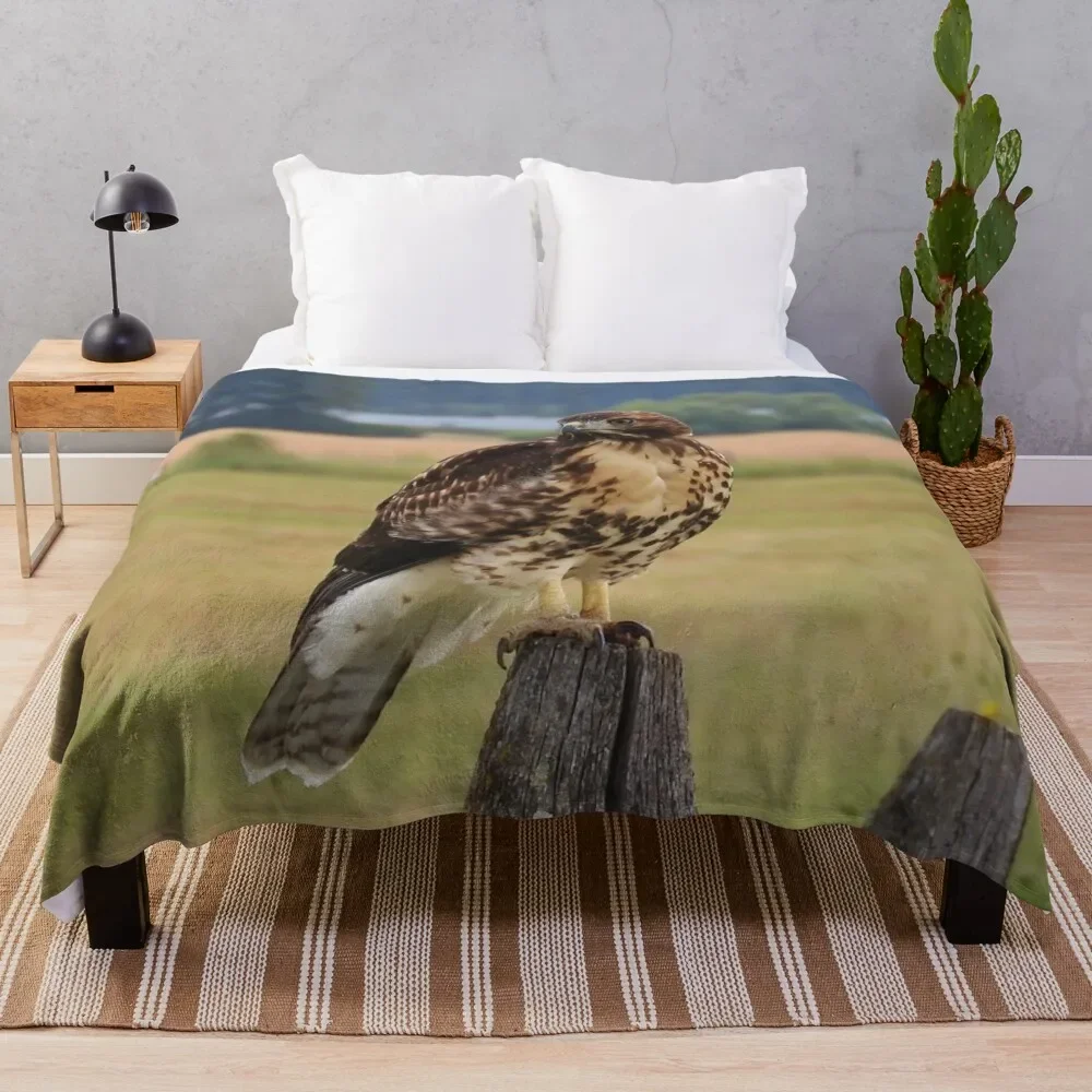 Red-Tailed Hawk Throw Blanket Loose Blankets For Baby Designers Blankets Sofas Of Decoration Summer Blankets
Red-Tailed Hawk Throw Blanket Loose Blankets For Baby Designers Blankets Sofas Of Decoration Summer Blankets