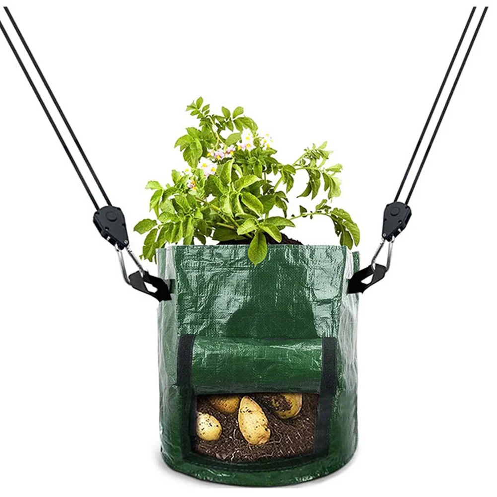 FREE POST Hydroponic Light Ratchet Rope Tent Carbon Filter Grow Hanger 2x Adjustable Replacement Tools 2021ER Durable
FREE POST Hydroponic Light Ratchet Rope Tent Carbon Filter Grow Hanger 2x Adjustable Replacement Tools 2021ER Durable